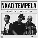 Fakelove, Mellow & Sleazy & Ch’cco – Nkao Tempela